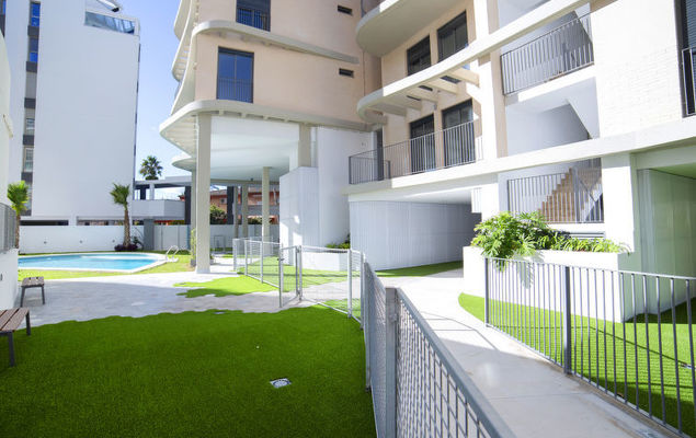 Isea Calpe - Photo 6