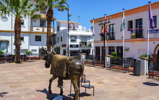 Las Buganvillas - Photo 31