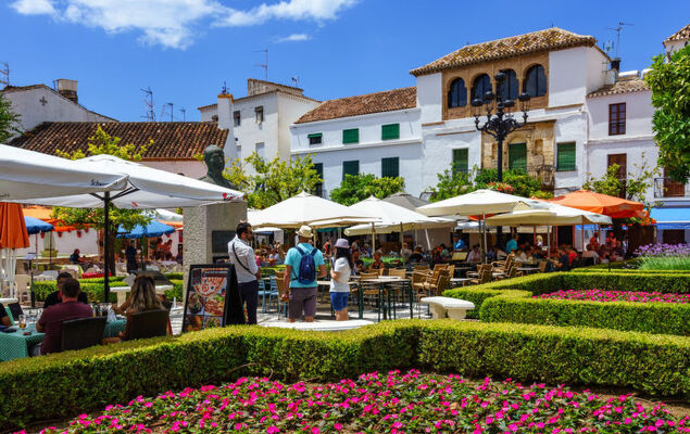 Los Almendros I - Photo 31