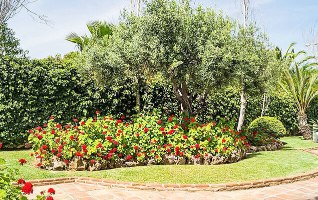 Mijas Beach - Photo 34