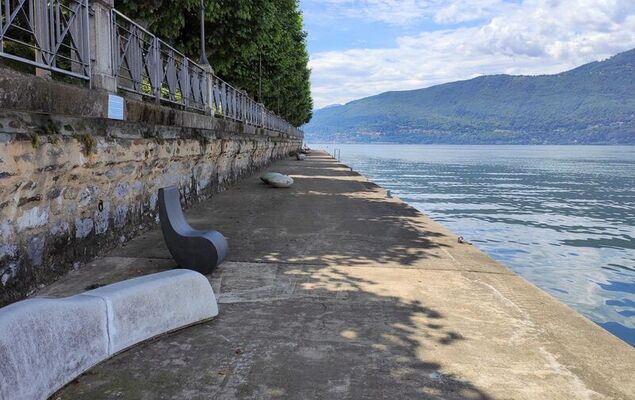 Villa Camelia - Photo 43