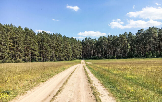 am Pälitzsee - Photo 8