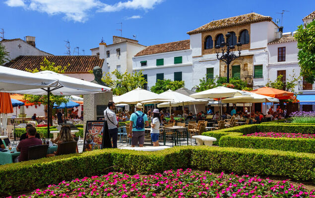 Las Adelfas - Photo 38