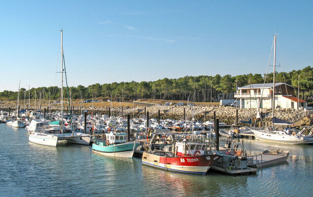 Bois d'Eleis - Photo 23